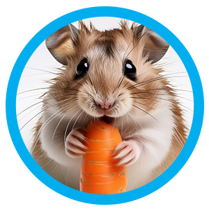 Hamster met de hand grootbrengen