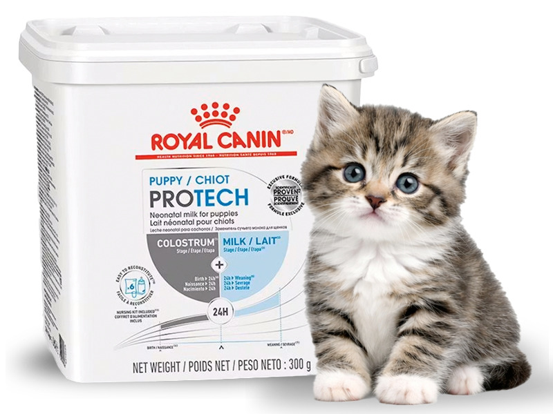 Royal Canin puppy pro tech
