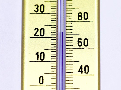 thermometer temperatuur jong dier